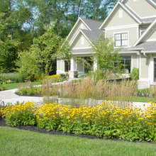 Landscape Planting