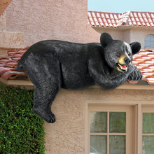 Backyard roof