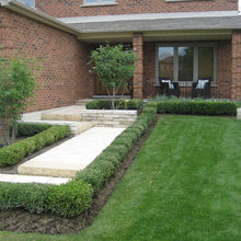 Landscape Ideas