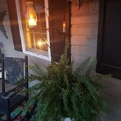 Tracy Shawver's photo