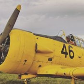 Ellie Porter's photo