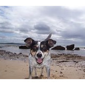 Cathy Castleton's photo