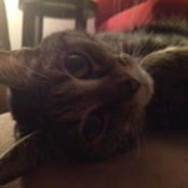Cammie Bearden-Doehnert's photo