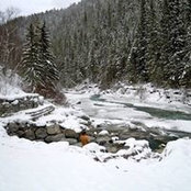 Ian Hutcheson's photo