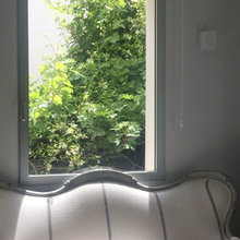 ventanas