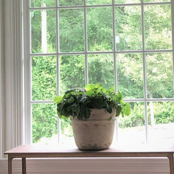 Living room window with prayer plant