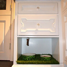 Dog Area