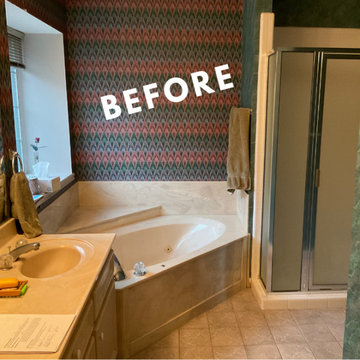 Devonshire Neighborhood Bathroom Remodel