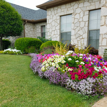 Front Yard Landscaping Project in Prosper