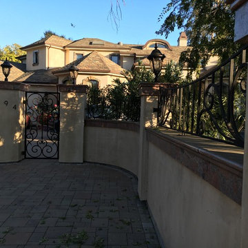 Custom made ornamental iron fence and gates.