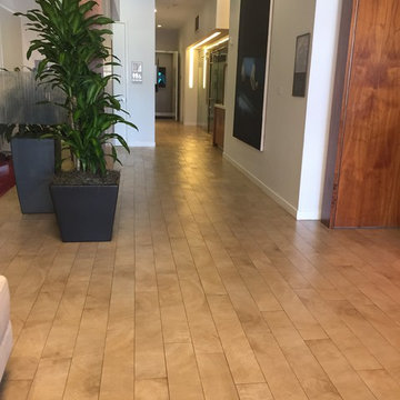 Walk the Plank (Neutral Tones)