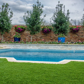 Backyard Oasis with Pool