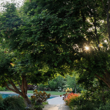 Shaded Garden Path with Stone Steps