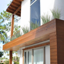 Cypress