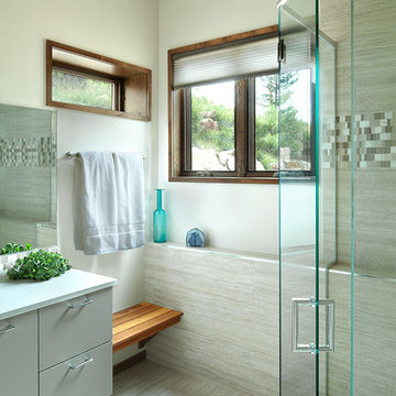 Mountain View Contemporary