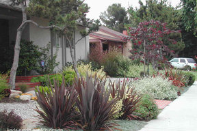 Mar Vista Mediterranean