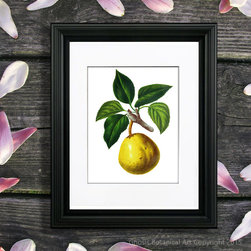 Pear Fruit Art prints Kitchen Wall decor ideas - Products