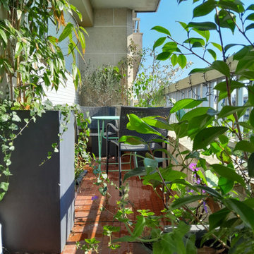 Aménagement nature d'un balcon Paris 11