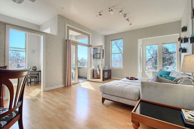 Example of a minimalist living room design in Denver