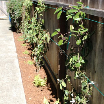 Asian-inspired Shade Garden