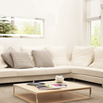 Viio Mirrors