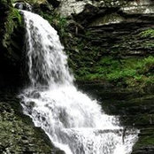 Nancy Tomlinson's photo