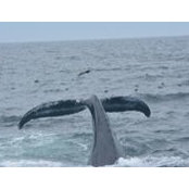 Lukasz Dolowy's photo