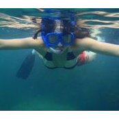 Alicia Ahern's photo