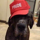Lori Gittinger's photo