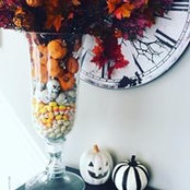 Anne Bradley's photo