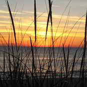 Foto von Ann Bower