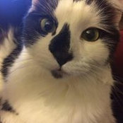 Anita Bergmann's photo