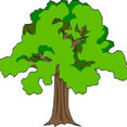 Profilbild von Landschafts- & Gartenbau Sydney Snowdon