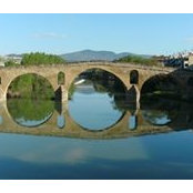 Roswitha Stein's photo