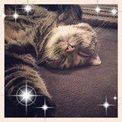 Molly Blood's photo
