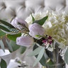 Jennifer Prock's photo