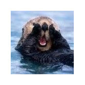 Gail Caldwell's photo
