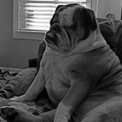 Paul Robichaud's photo