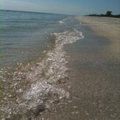 Marcia Nason's photo