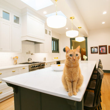 Transitional Kitchens, pet approved