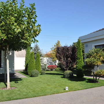 Private modern garden / Частный современный сад.