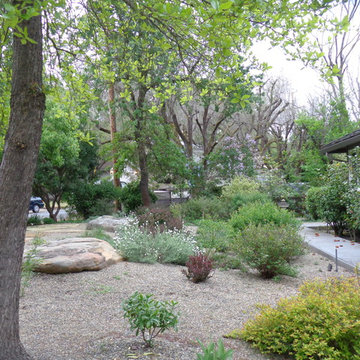 Lawn Replacement/Reduction in Lawn Size