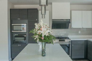 Inspiration for a kitchen remodel in Other