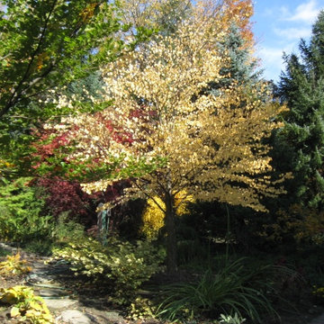 Planting for Privacy, Color and Texture
