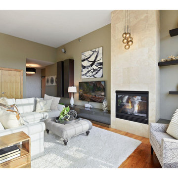 Minneapolis Contemporary Condo