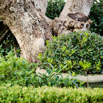 Garden Society
