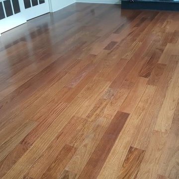 Triangulo Brazilian Cherry Hardwood Flooring, Monroe, NJ