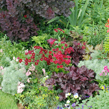 Annuals & Perennials