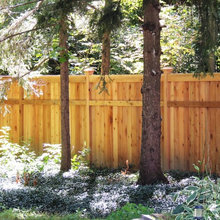 Fencing
