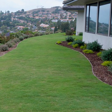 Contemporary Garden Landscape with an ocean view